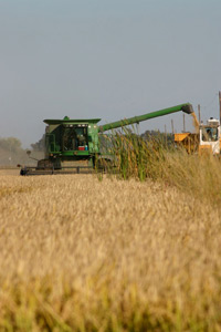 farming-colusa